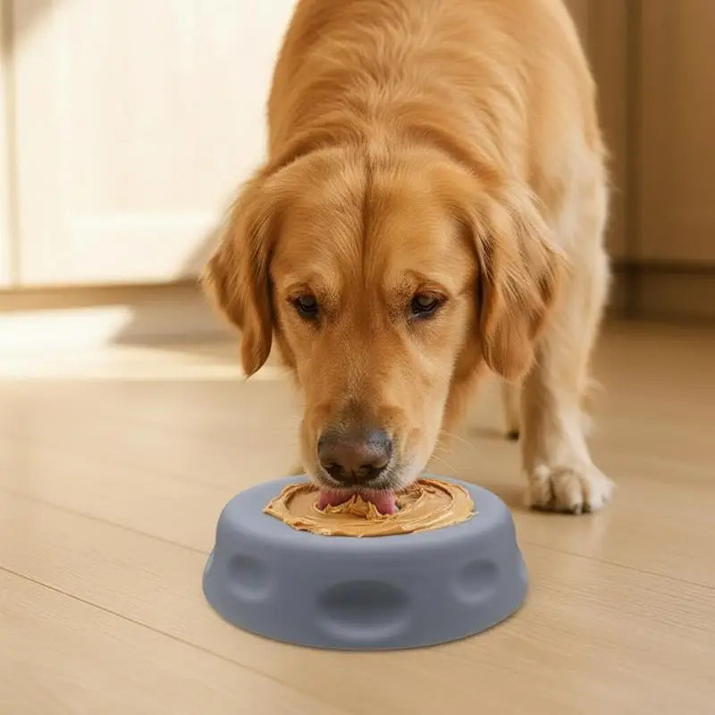 Slow Feeder Lick Bowl