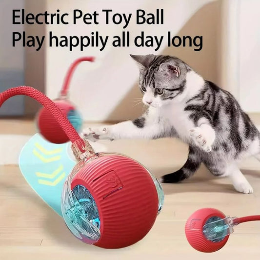 Interactive Rolling Ball Toy