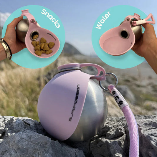 Portable Pet Water Bottle